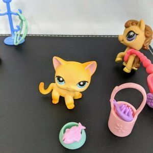 #339 Cat ONLY ~Brooke/always looked for/RARE